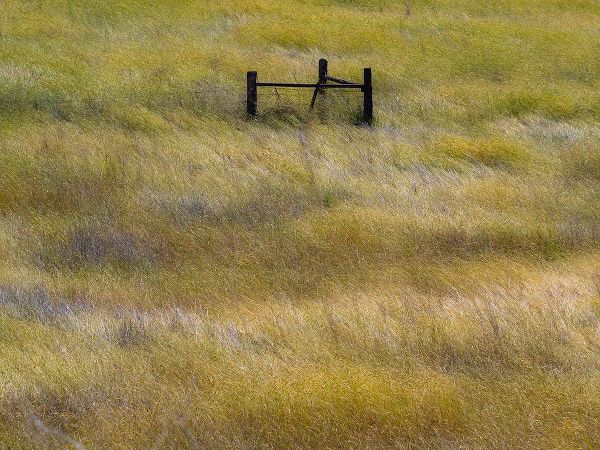 Gulin, Sylvia 아티스트의 USA-Washington State-Palouse with wooden fence posts in grass field작품입니다.
